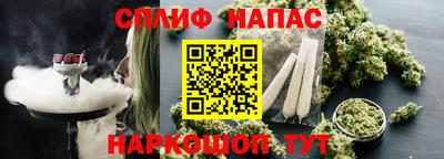 spice Новозыбков