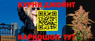 гидра Новокубанск