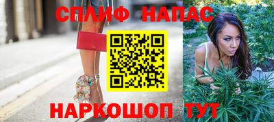 гидра Новокубанск