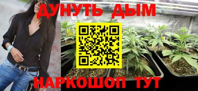 мдпв Новодвинск