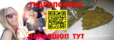 spice Новозыбков