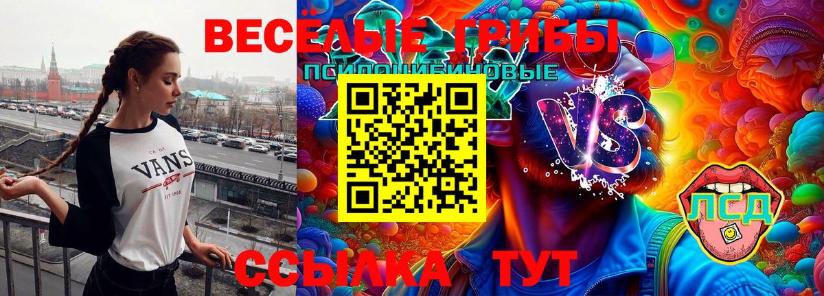 Псилоцибиновые грибы ЛСД Искитим