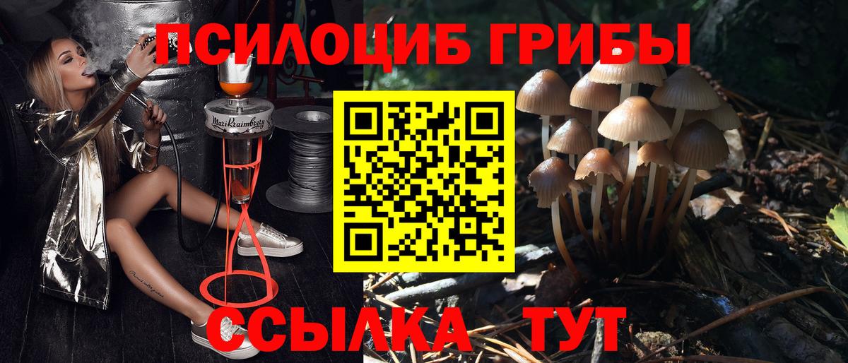 Искитим  Псилоцибиновые грибы ЛСД  Вход с VPN 