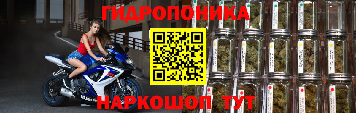 Бошки Шишки сатива Искитим